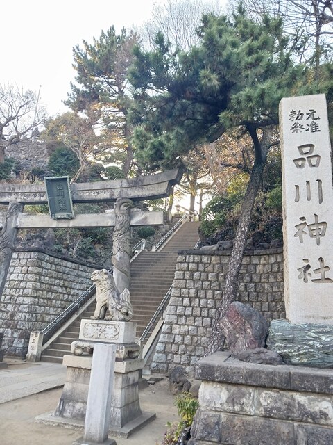 20/20 周辺
