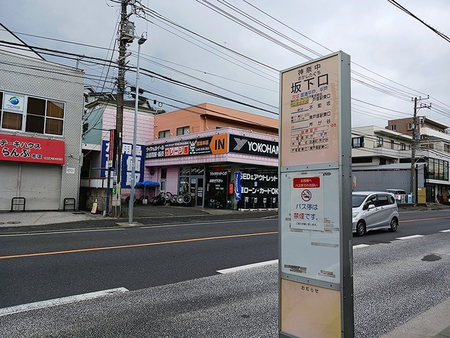 3/7 周辺