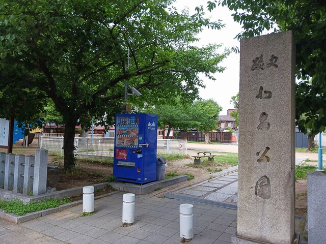 6/8 周辺