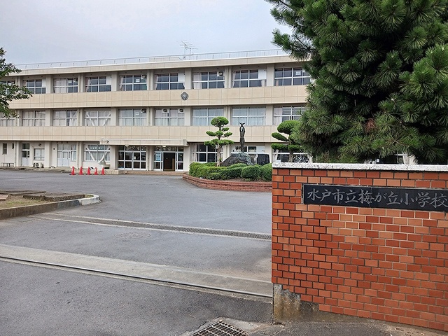 16/20 周辺