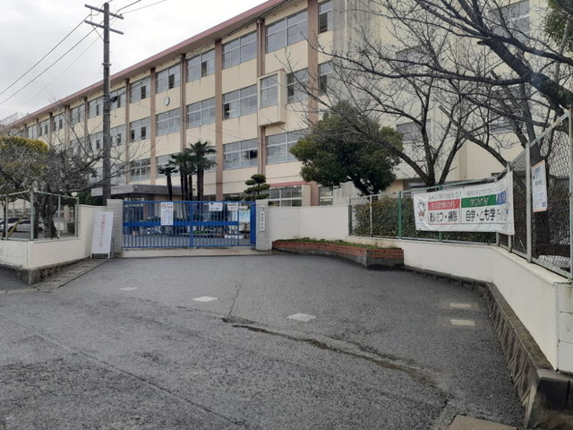 20/20 周辺