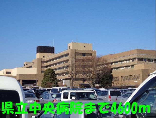 3/7 周辺