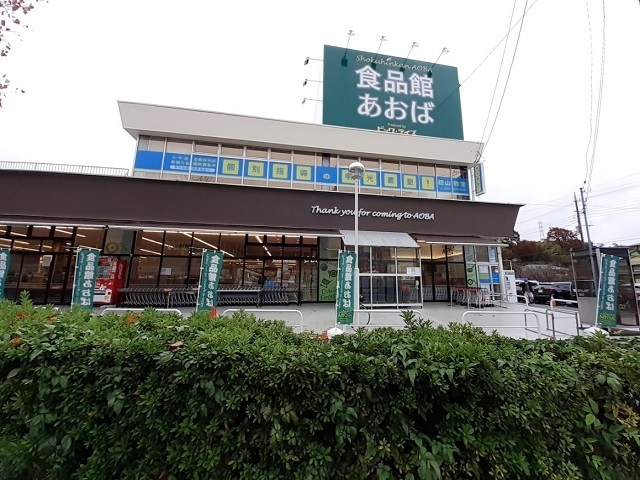 20/20 周辺