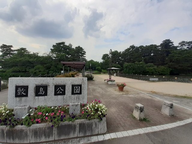 6/8 周辺