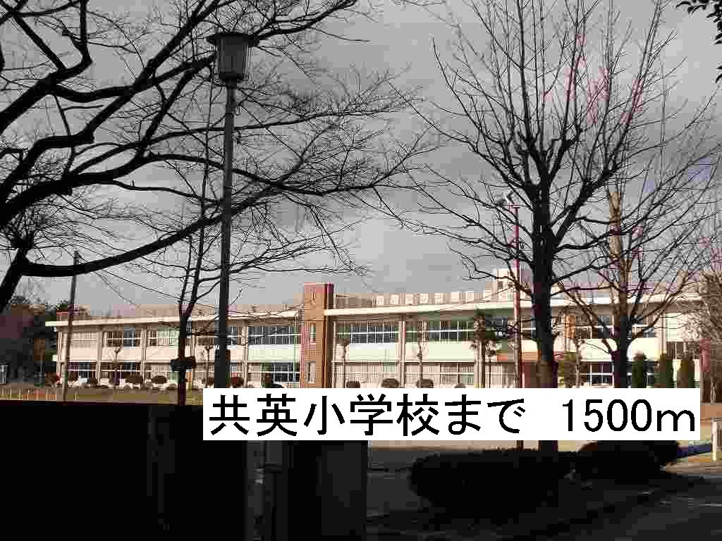 20/20 周辺
