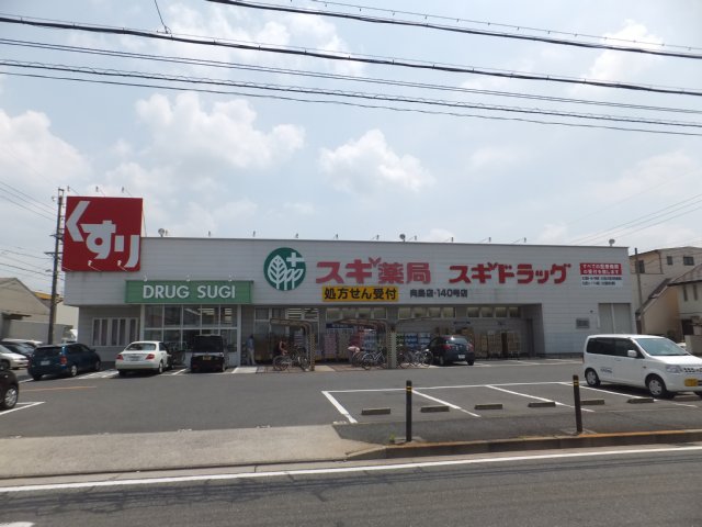 25/29 周辺