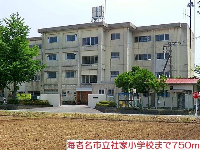 19/20 周辺
