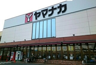 7/8 周辺