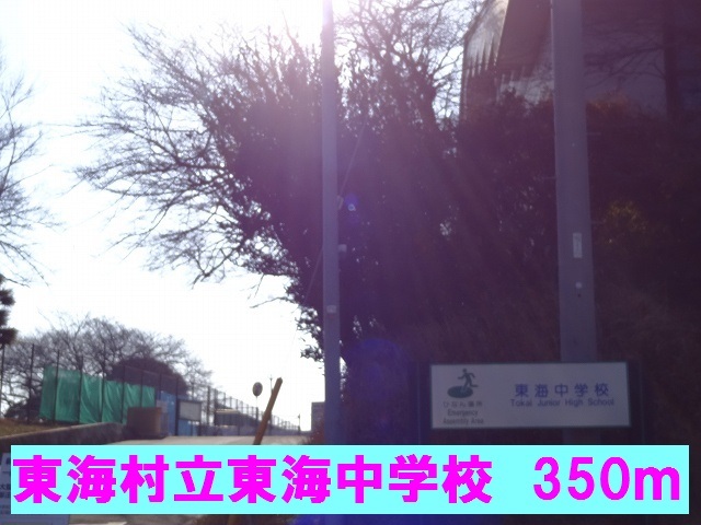17/20 周辺