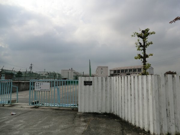 29/29 周辺