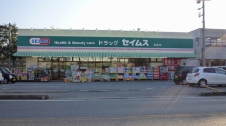 3/8 周辺
