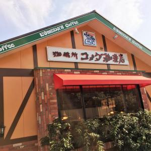 6/8 周辺