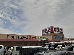 4/8 周辺