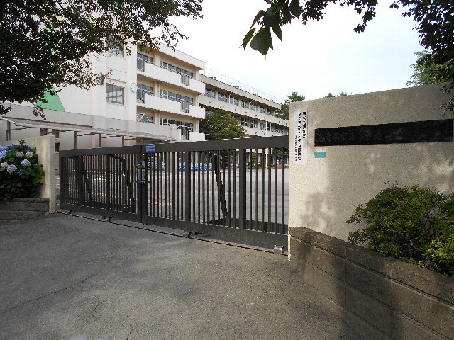 28/30 周辺
