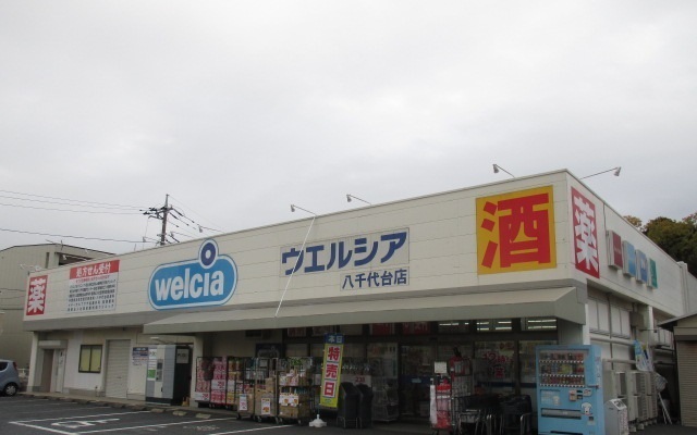 3/7 周辺