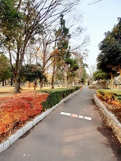 4/7 周辺