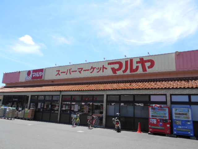 4/10 周辺