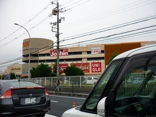3/7 周辺