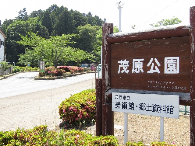 7/8 周辺