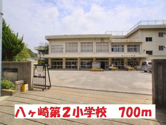20/20 周辺