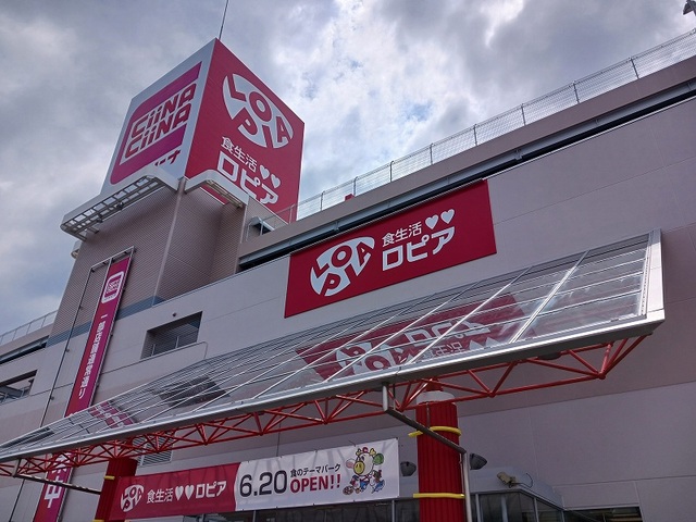 19/20 周辺