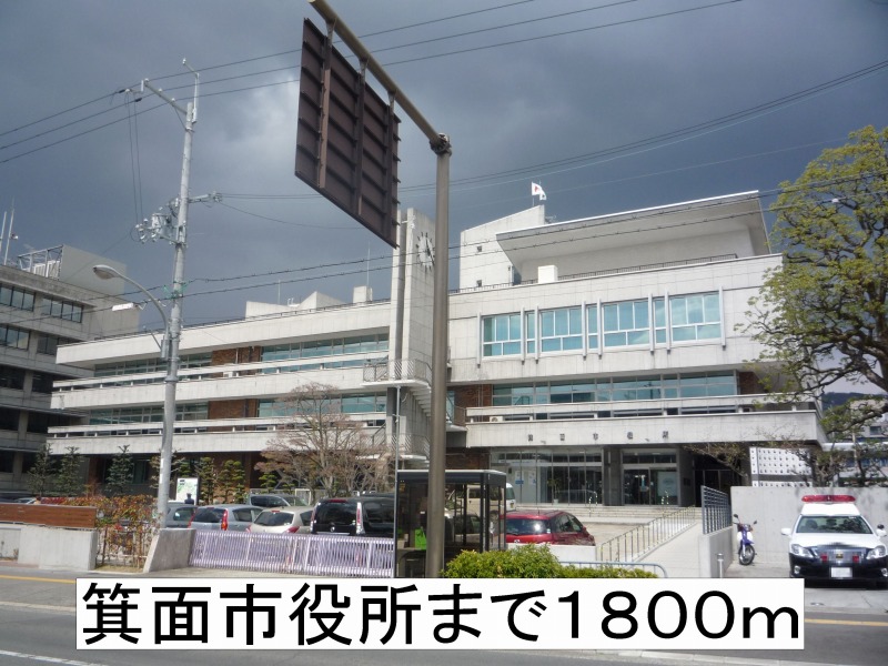 20/20 周辺