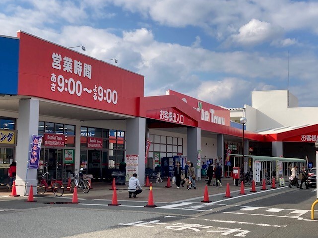 20/20 周辺