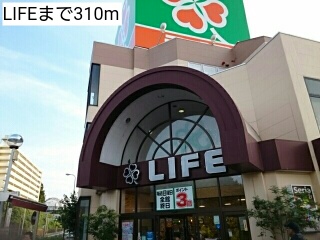 15/24 周辺