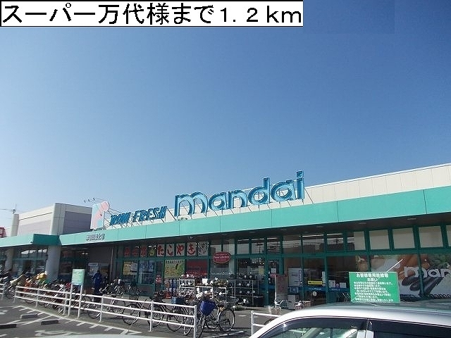 4/9 周辺