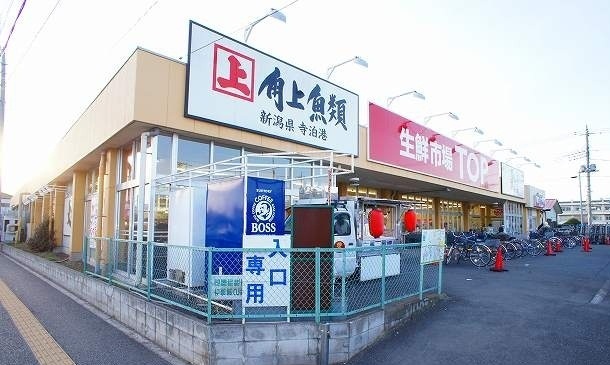 3/10 周辺