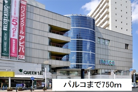 4/9 周辺