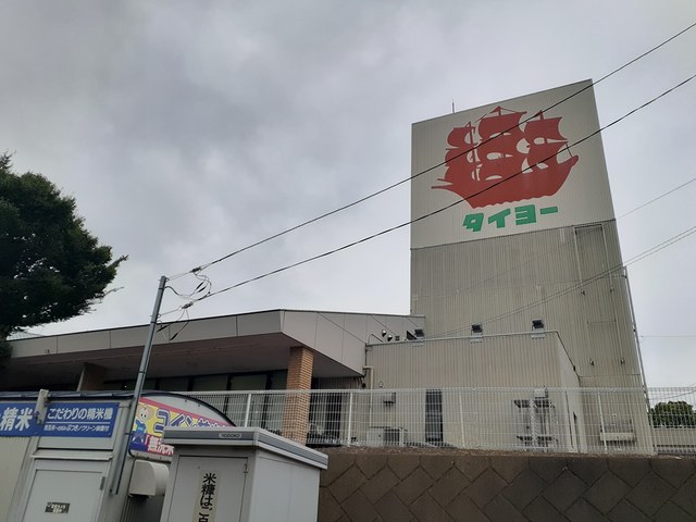 3/8 周辺