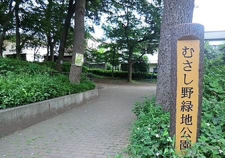 20/22 周辺