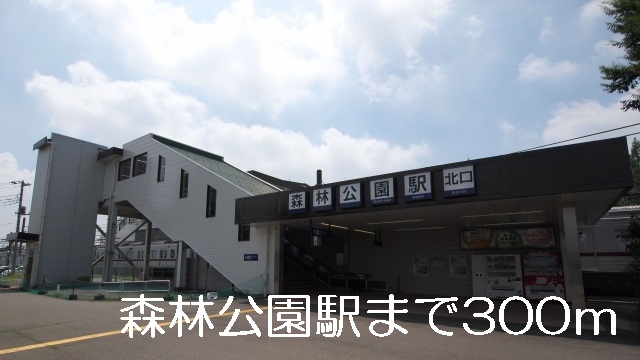 28/30 周辺