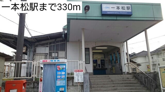20/20 周辺