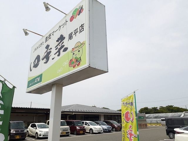 17/21 周辺