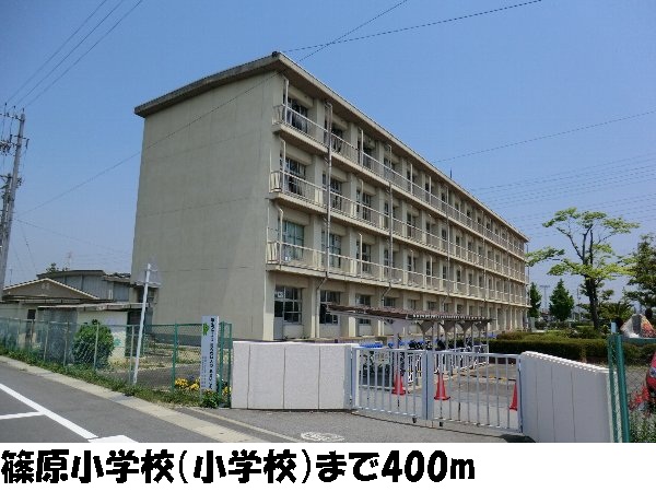 7/10 周辺