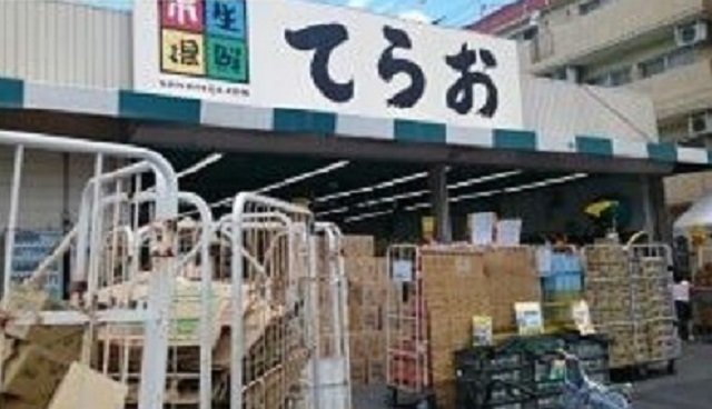 6/8 周辺