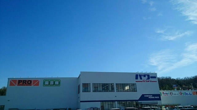 4/7 周辺