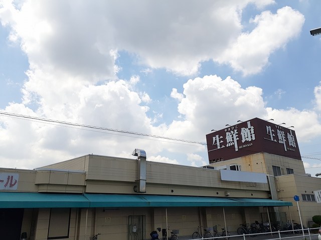 6/9 周辺