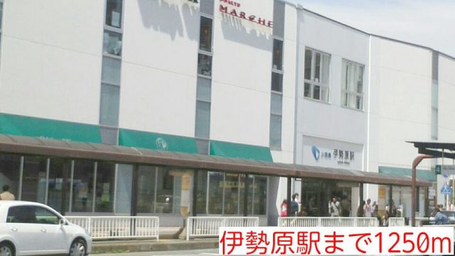 20/20 周辺