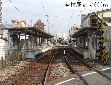 2/7 周辺