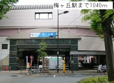 6/10 周辺