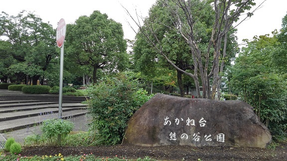 3/6 周辺