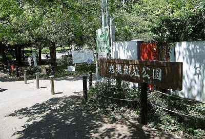28/30 周辺