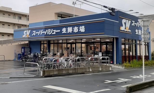3/10 周辺