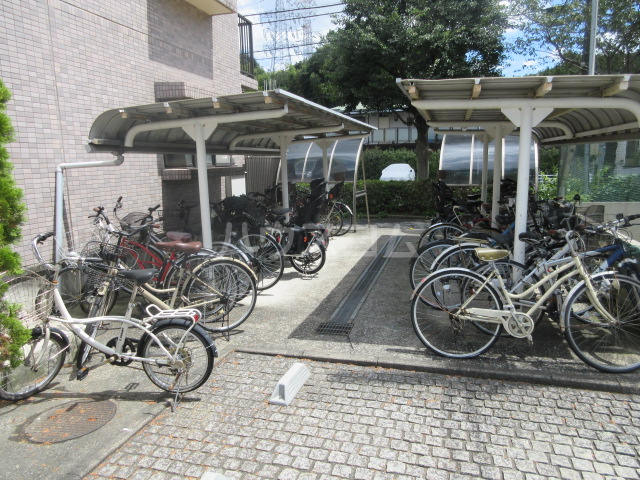 7/19 その他画像