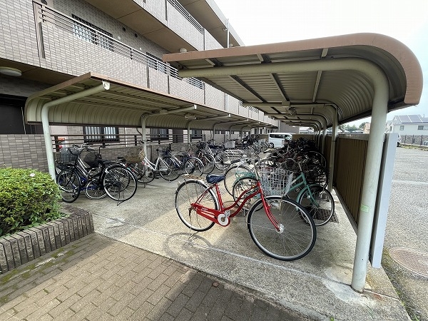 20/30 その他画像