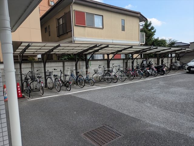 20/30 その他画像