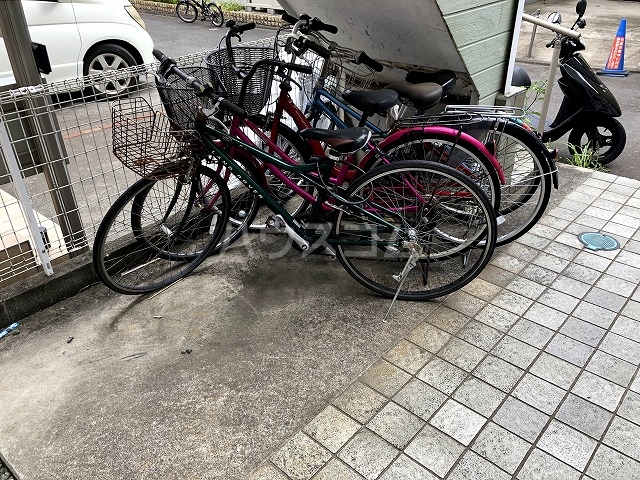 20/30 その他画像